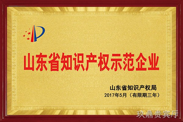 玖鼎贵宾厅荣获“2017年山东省知识产权示范企业”称号