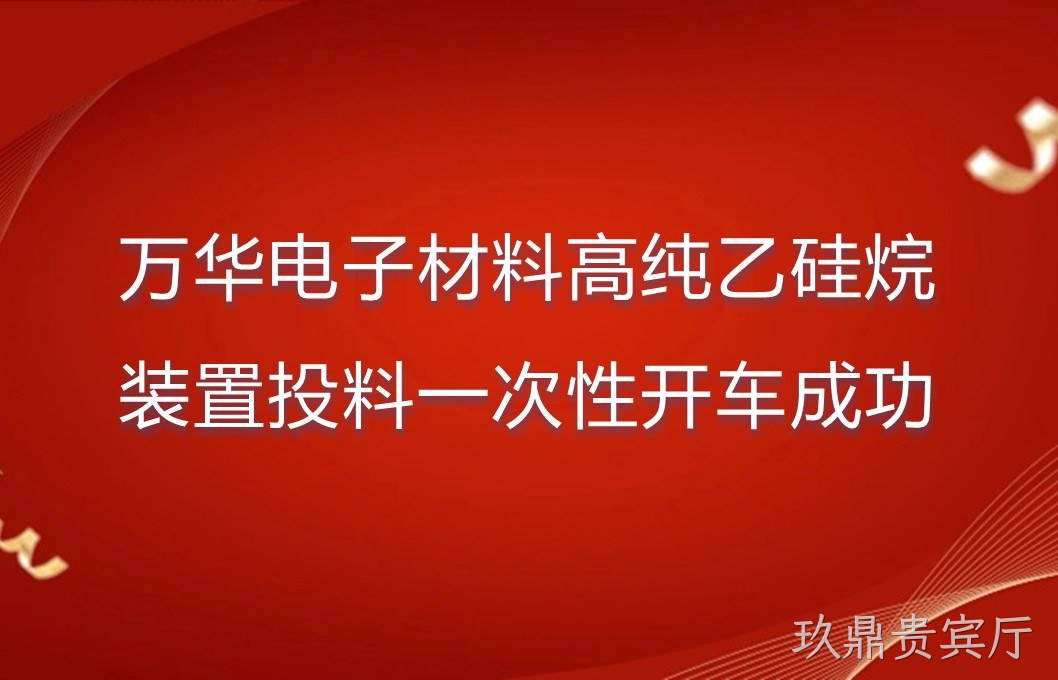 万华电子材料高纯乙硅烷装置投料一次性开车成功