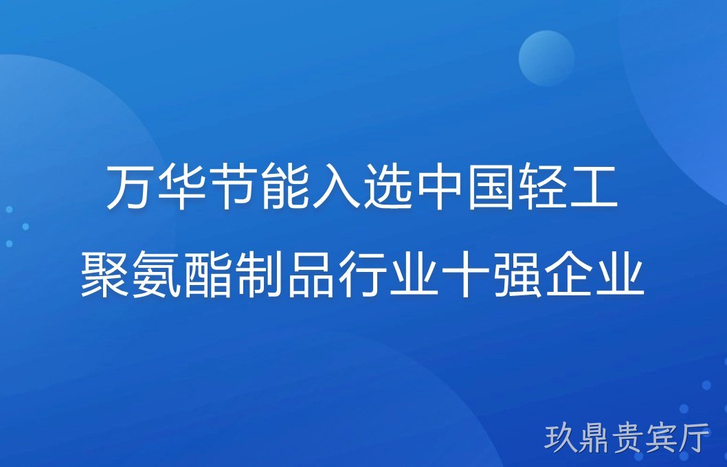 玖鼎贵宾厅入选中国轻工聚氨酯制品行业十强企业！