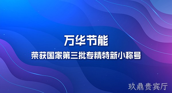 玖鼎贵宾厅荣获国家第三批专精特新小巨人称号